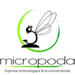 Micropoda logo: entomological and environmental expertise, Reunion, insect